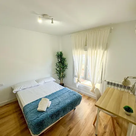 El Mastin Del Pirineo Turistea