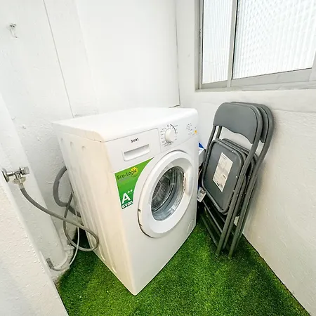 El Mastin Del Pirineo Turistea *