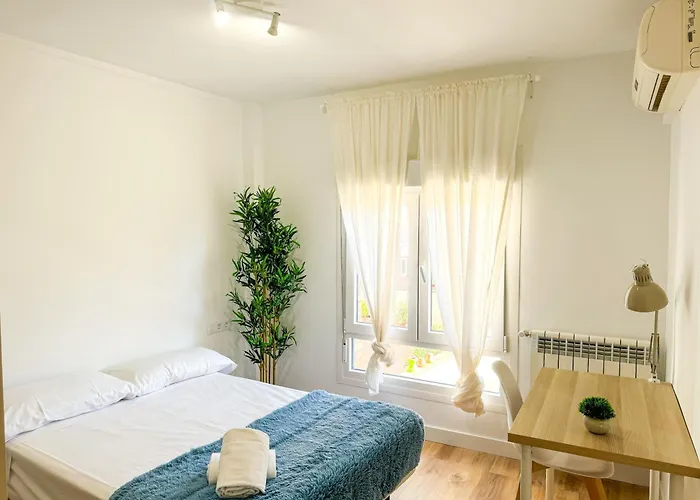 El Mastin Del Pirineo Turistea * Huesca