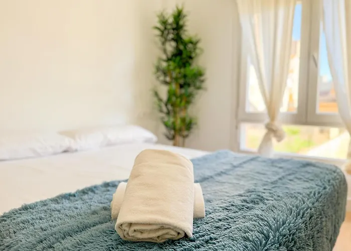 El Mastin Del Pirineo Turistea * Huesca