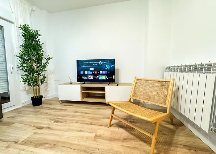 El Mastin Del Pirineo Turistea