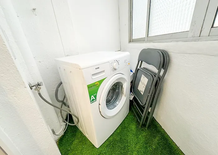 El Mastin Del Pirineo Turistea *